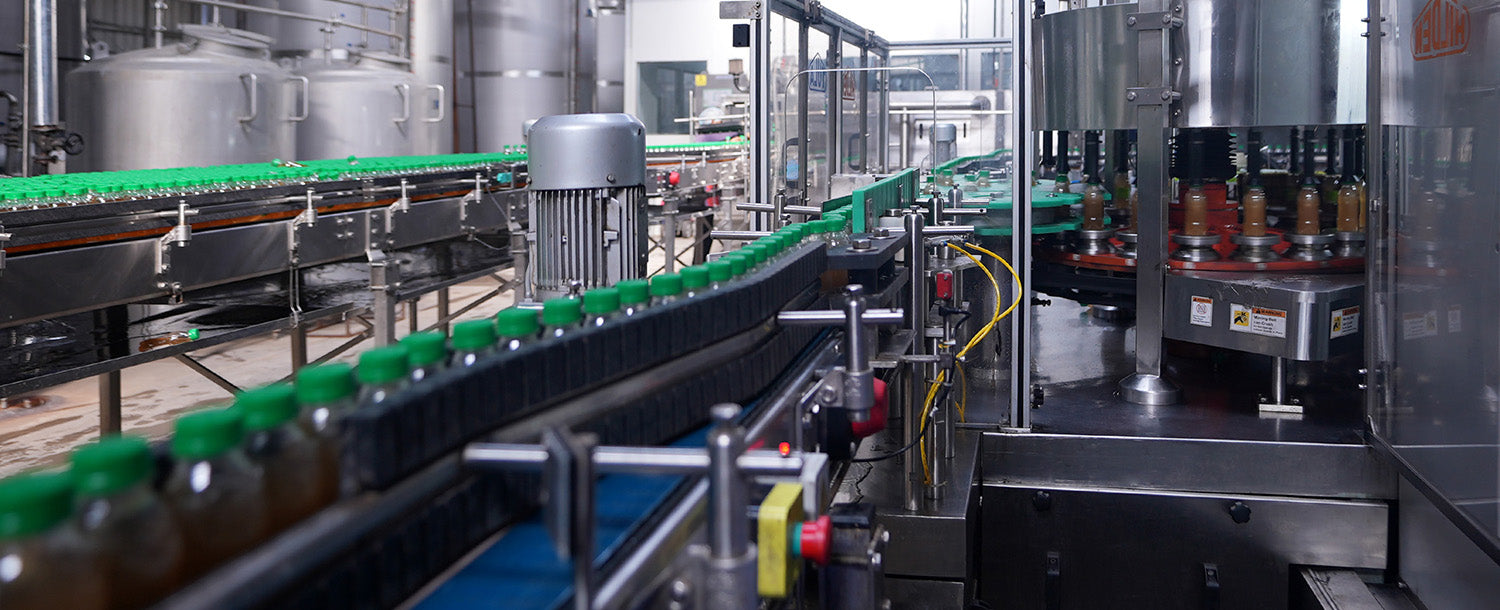 Plant | LAHORI ZEERA Plant | LAHORI ZEERA